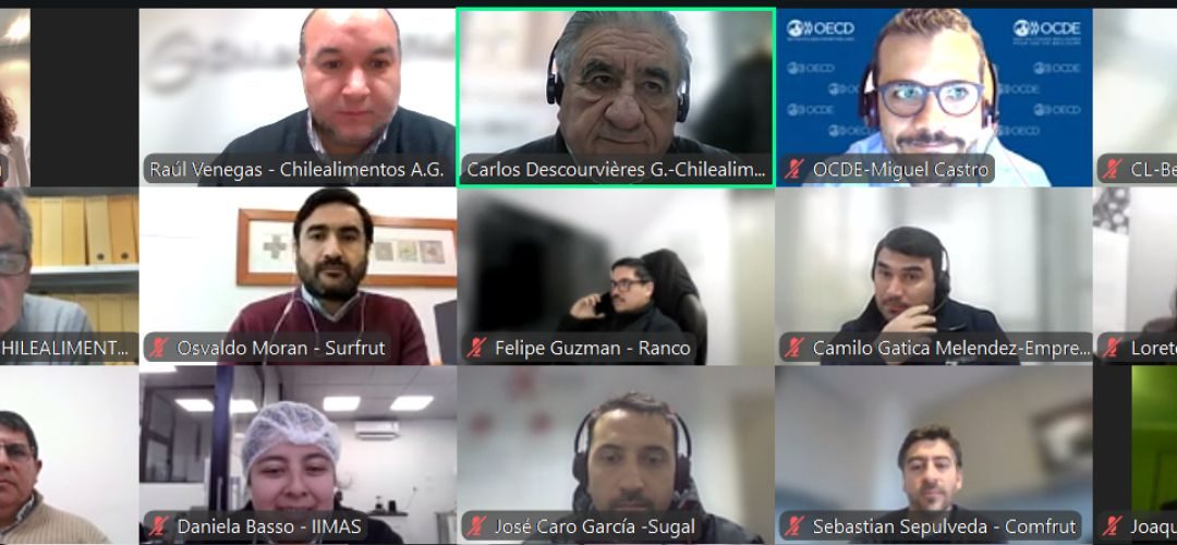 Chilealimentos junto a OCDE y Subrei promueven el fortalecimiento sectorial de la debida diligencia