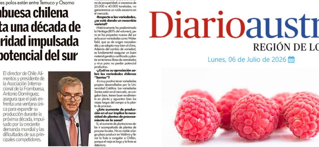 Antonio Domínguez: Chile ve una oportunidad estratégica para expandir su industria de frambuesas ante las caídas de producción en Serbia y Polonia