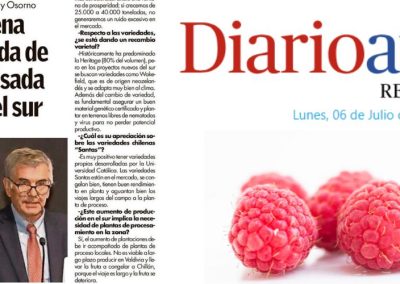 Antonio Domínguez: Chile ve una oportunidad estratégica para expandir su industria de frambuesas ante las caídas de producción en Serbia y Polonia