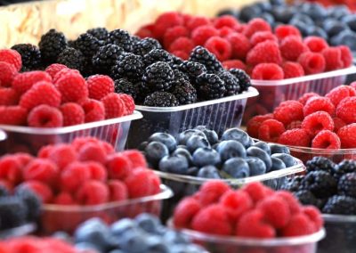 Berries/Huelva: Al cierre de campaña 2025/26 disminuyeron la producción de arándanos (-6%) y las frutillas (-3%), mientras crecieron las moras (33%) y las frambuesas (5%)