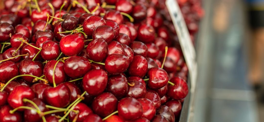 Cerezas: Altos costos y exceso de oferta complican la temporada de cosecha en Polonia y Ucrania