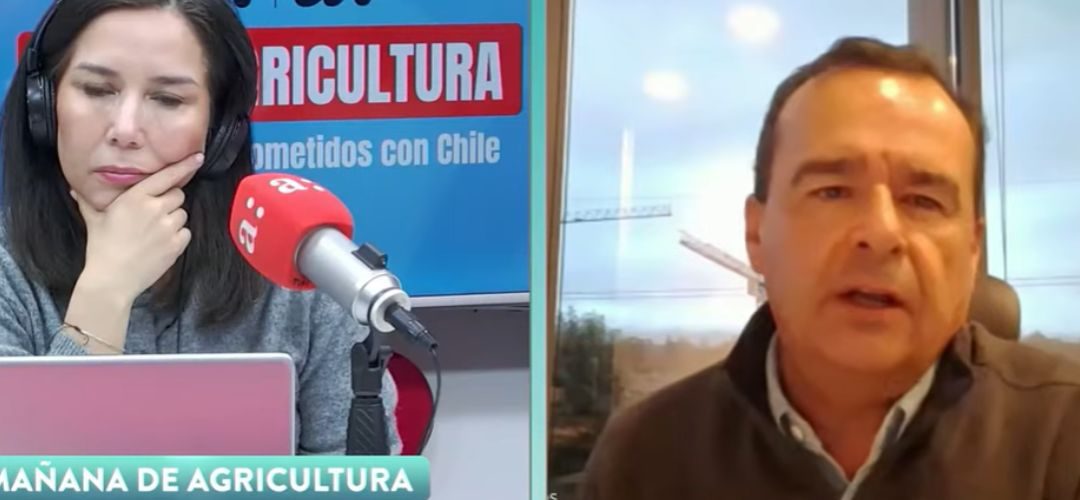 Presidente de Chilealimentos advierte desventaja frente a Argentina por aranceles en Estados Unidos