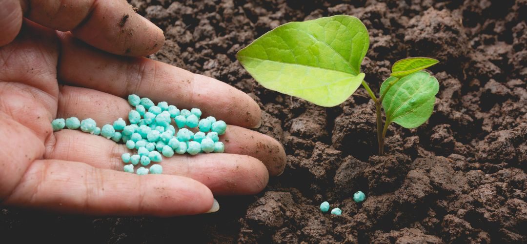 Estados Unidos flexibiliza aranceles a fertilizantes para proteger y garantizar seguridad alimentaria