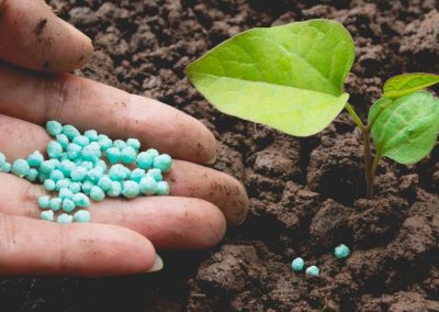 Estados Unidos flexibiliza aranceles a fertilizantes para proteger y garantizar seguridad alimentaria