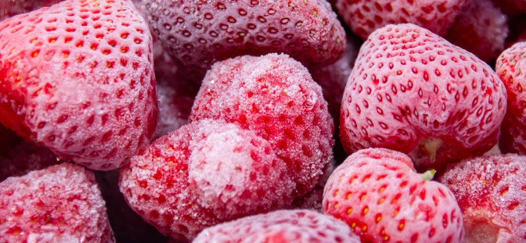 Frutillas Congeladas/Perú: Envíos al primer semestre alcanzaron US$ 21 millones y crecen 30% en volumen
