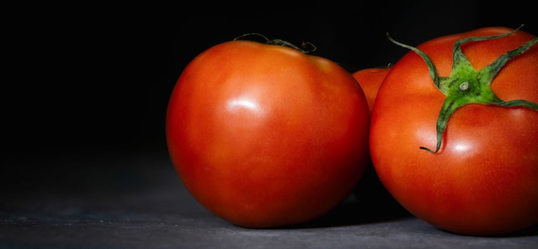 Paste de Tomate/Túnez: Ola de calor provoca cortes de energía y paraliza plantas en temporada alta de procesamiento