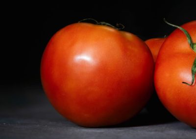Paste de Tomate/Túnez: Ola de calor provoca cortes de energía y paraliza plantas en temporada alta de procesamiento