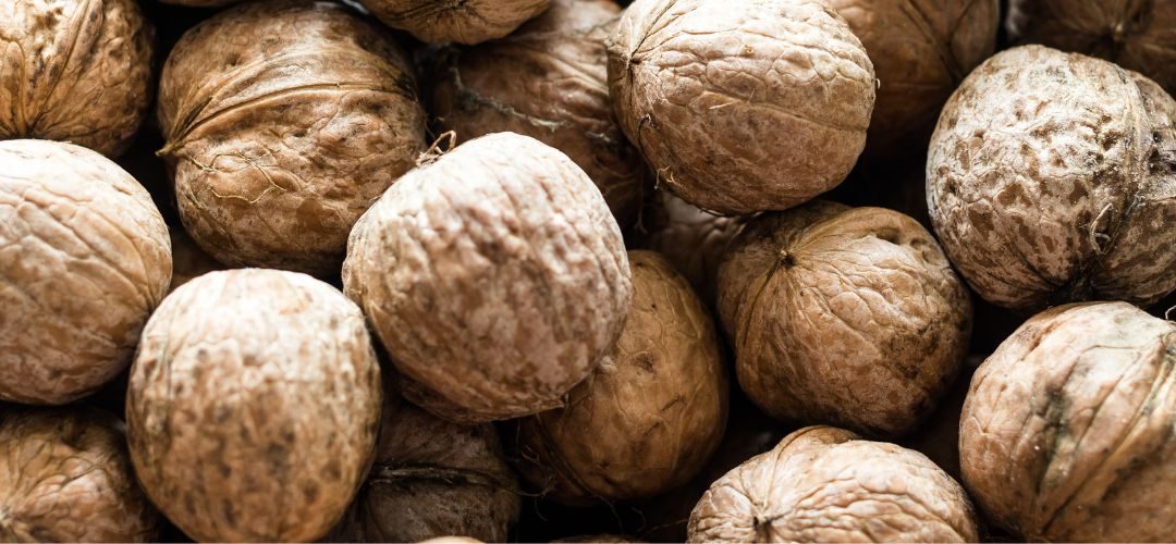 Nueces: Medio Oriente y África elevan 343% las compras desde California