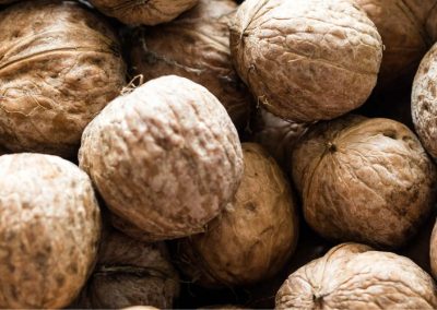 Nueces: Medio Oriente y África elevan 343% las compras desde California