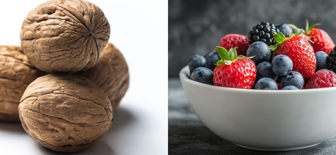 Ucrania fortalece su posición como proveedor de berries y frutos secos orgánicos para la Unión Europea