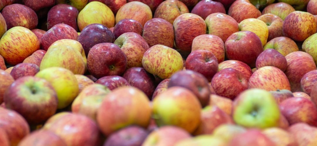 Polonia: Industria reduce compras de manzanas para procesamiento mientras concentran operaciones en cerezas