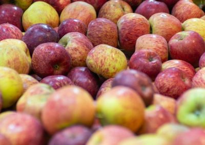 Polonia: Industria reduce compras de manzanas para procesamiento mientras concentran operaciones en cerezas