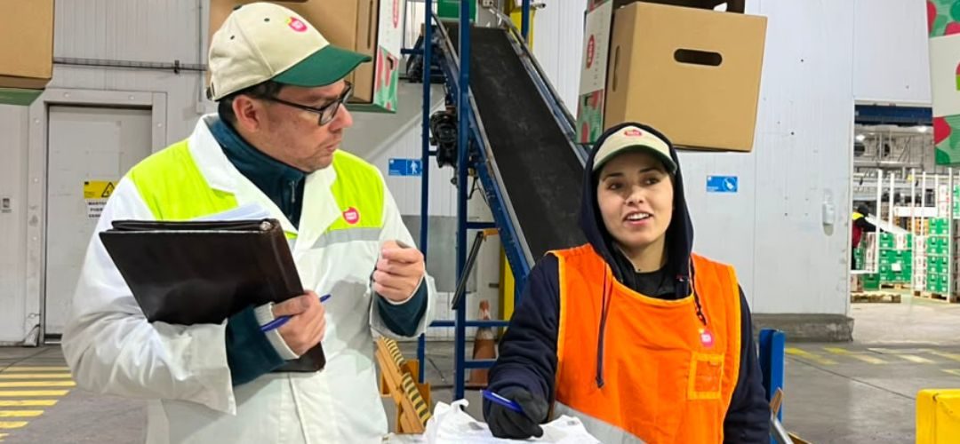 Competencias Laborales: Chilealimentos finaliza proceso de evaluaciones para trabajadores(as) de Copefrut