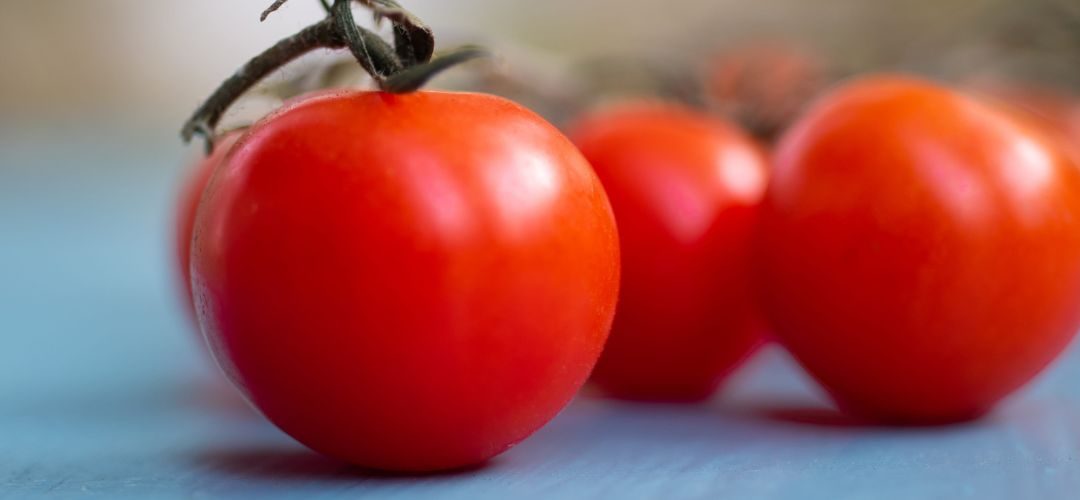 Tomate Industrial/Italia: Producción para procesamiento se ajusta al alza y podría crecer 4% en 2026