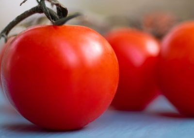 Tomate Industrial/Italia: Producción para procesamiento se ajusta al alza y podría crecer 4% en 2026