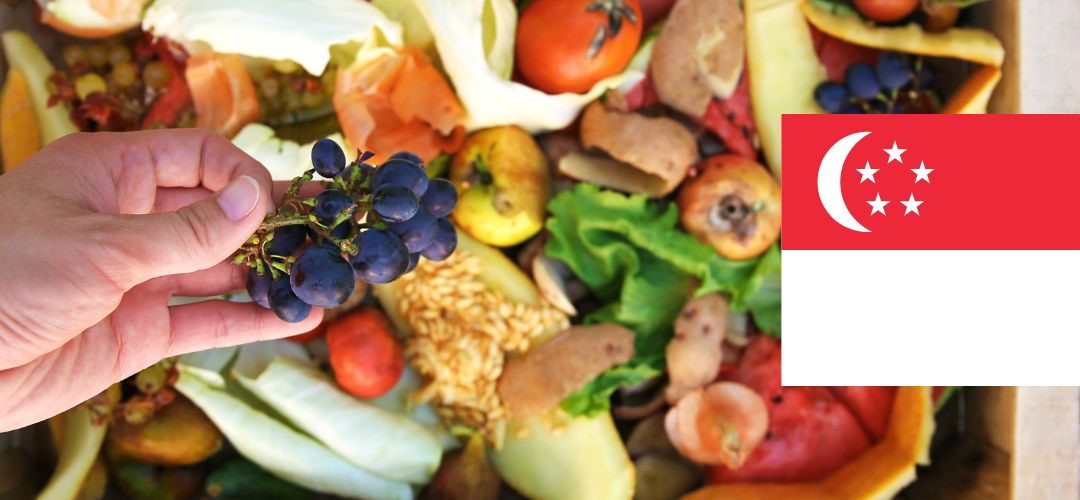 Gobierno de Singapur financia proyectos Upcycling de valorización de residuos de alimentos