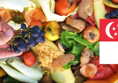 Gobierno de Singapur financia proyectos Upcycling de valorización de residuos de alimentos