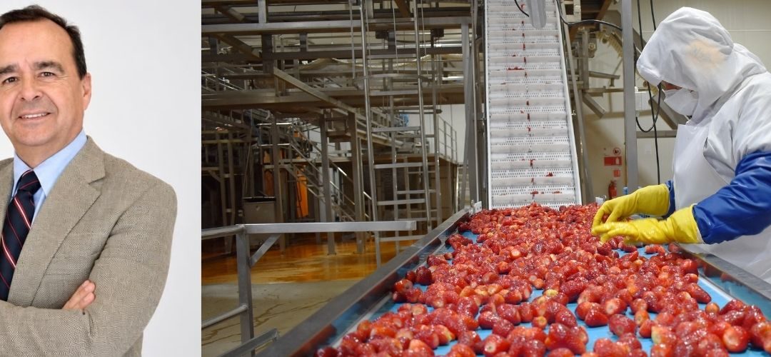 Juan Manuel Mira: La agroindustria chilena avanza hacia una oferta exportadora de mayor valor agregado en las próximas décadas