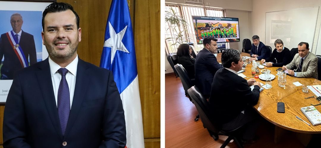 Cristián Buccione, Director Ejecutivo de Agroseguros: «Queremos que Agroseguros avance hacia un sistema de gestión de riesgos del sector productivo agrícola»
