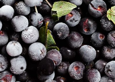 Arándanos Congelados: La demanda de la industria supera a la oferta en Norteamérica