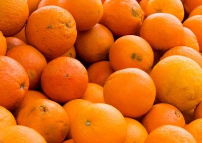 Cítricos/Florida: Industria busca recuperar terreno tras perder 85% de su producción desde 2016