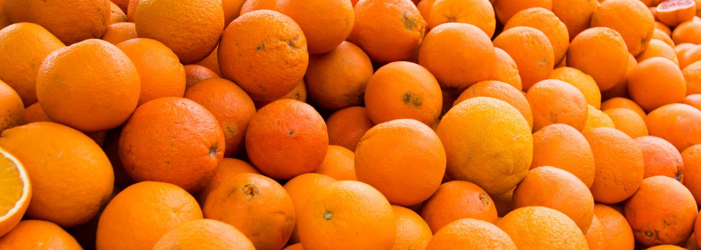 CITRICOS FLORIDA USA