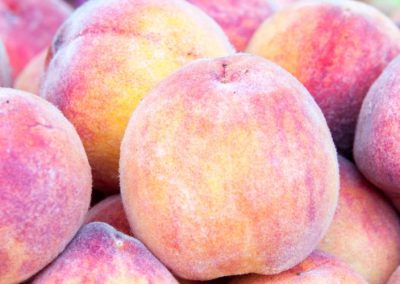 Duraznos/México: Prevén una reducción del 5% en la cosecha 20026 por heladas y granizadas
