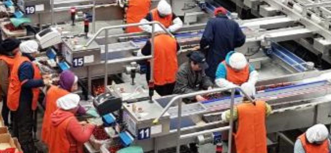 Competencias Laborales: Chilealimentos inicia proceso de evaluaciones para trabajadores(as) de Aurora Autralis