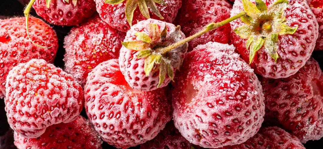 Frutillas congeladas/Perú: Exportaciones ganan terreno en el mercado norteamericano y buscan diversificar productos