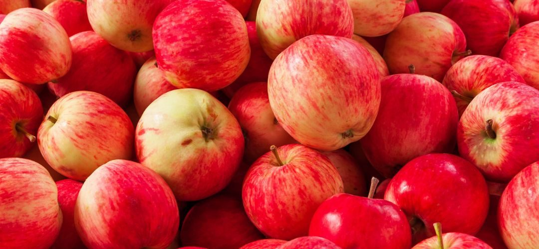 Manzanas/Hungría: Cosecha 2026 será la más baja en los últimos 10 años y aumentarán significativamente importaciones desde Polonia para la industria del jugo