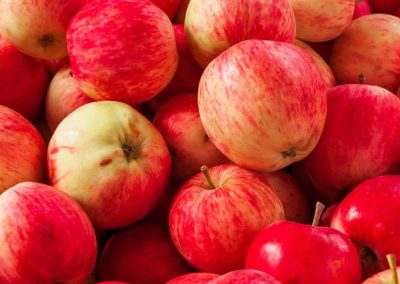 Manzanas/Hungría: Cosecha 2026 será la más baja en los últimos 10 años y aumentarán significativamente importaciones desde Polonia para la industria del jugo
