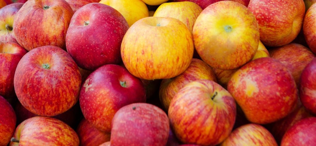 Manzana Industrial/EE.UU: Se ajusta a la baja 8% el pronóstico de cosecha 2026/27