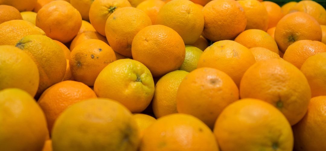 Brasil: La cosecha de naranjas 2026/27 se reduce 15% debajo del promedio de la última década