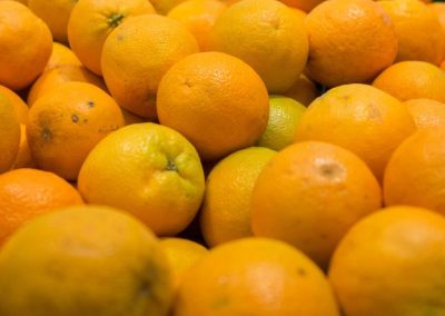 Brasil: La cosecha de naranjas 2026/27 se reduce 15% debajo del promedio de la última década
