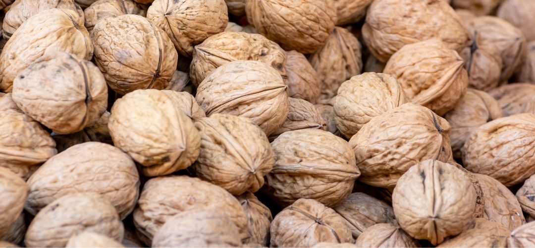 Nueces/California: Envíos con cáscara al Medio Oriente y Norte de África se cuadruplican a Julio 2026