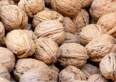 Nueces/California: Envíos con cáscara al Medio Oriente y Norte de África se cuadruplican a Julio 2026