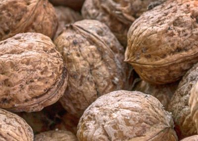 Nueces/California: Bajos inventarios sostienen la demanda, pero una gran cosecha presiona los precios