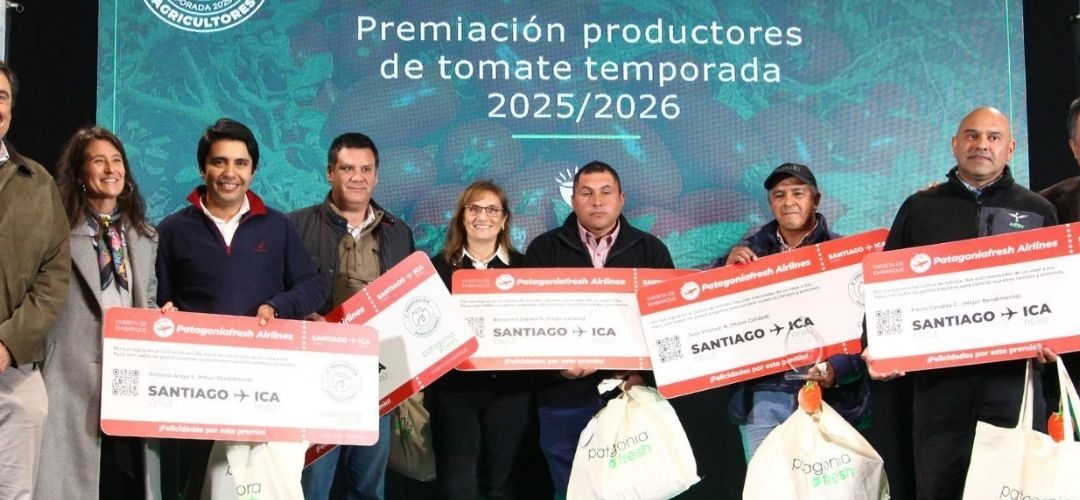 Tomate Industrial: Patagoniafresh cierra temporada agrícilo 2025/26 con excelentes resultados