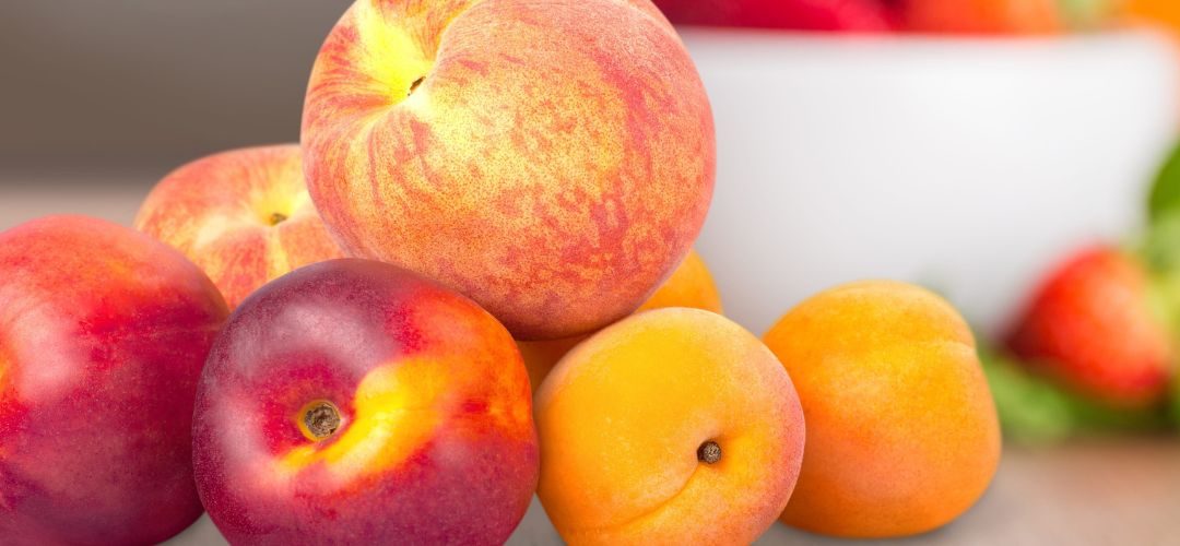 España: Cataluña enfrenta una campaña frutícola 2026 marcada por menor calibre y 25% de alza de costos en pomáceas y carozos