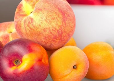 España: Cataluña enfrenta una campaña frutícola 2026 marcada por menor calibre y 25% de alza de costos en pomáceas y carozos