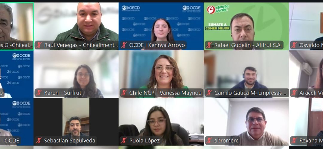 Empresas de Chilealimentos impulsan estrategia sectorial de debida diligencia verificable y sistemática