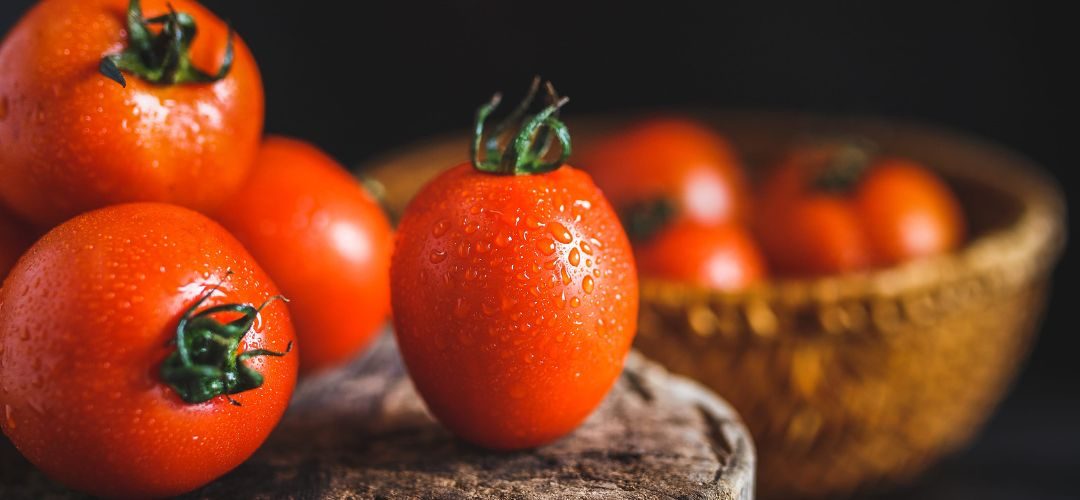 Tomate: Egipto se posiciona como el quinto productor mundial y el pronóstico de cosecha para procesamiento se estima en 800 mil toneladas para 2026