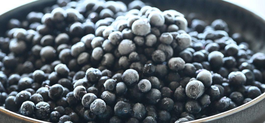 Ucrania redujo 69% sus exportaciones de arándanos congelados en 2025/26