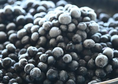 Ucrania redujo 69% sus exportaciones de arándanos congelados en 2025/26
