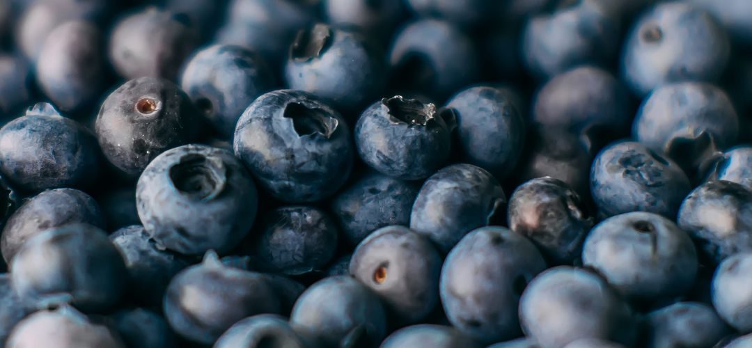 Polonia: Precio máximo histórico para arándanos cultivados para procesamiento