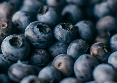 Polonia: Precio máximo histórico para arándanos cultivados para procesamiento