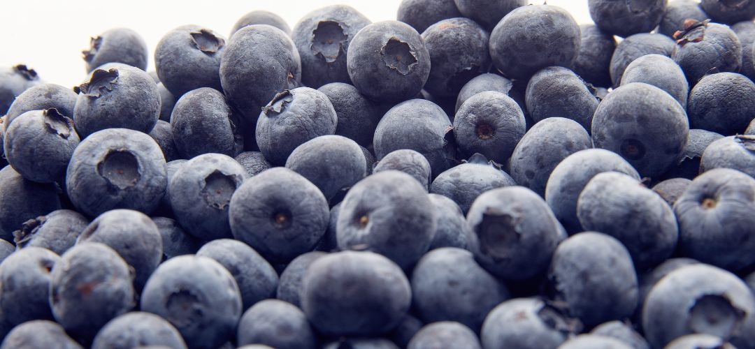 Arándanos/IBO: Producción mundial crece 11% y podría superar 3,3 billones de toneladas en 2029