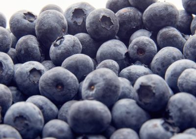 Arándanos/IBO: Producción mundial crece 11% y podría superar 3,3 billones de toneladas en 2029