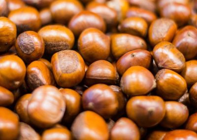 Castañas/Europa: Se proyecta que la producción podría alcanzar hasta las 165 mil toneladas