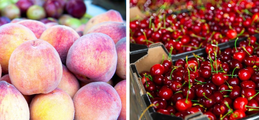 USDA: Producción mundial de duraznos se proyecta en 25 millones de toneladas y las cerezas en 5,4 millones de toneladas para 2026/27